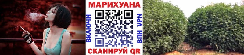 МЕГА ТОР  Олонец  Бошки Шишки планчик 